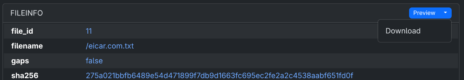 EveBox fileinfo event with the Preview dropdown open, showing the Download option
